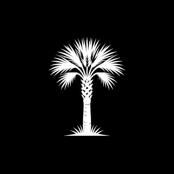 Palmetto Intelligence logo